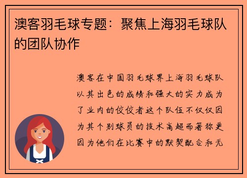 澳客羽毛球专题：聚焦上海羽毛球队的团队协作